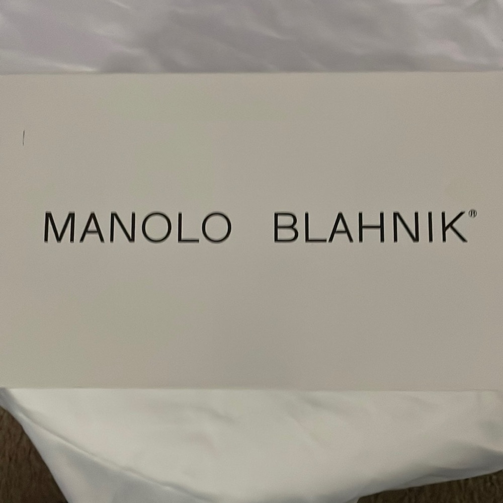 Manolo Blahnik Stylish Sandals